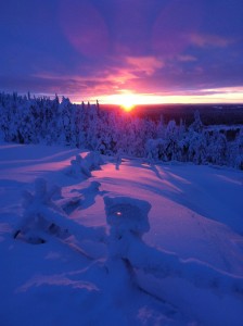 Finnland Luosto Jan. 11                                 